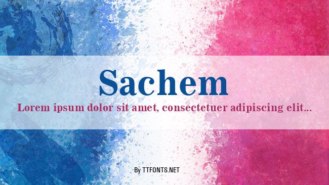 Sachem example