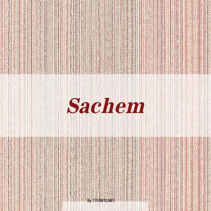 Sachem example