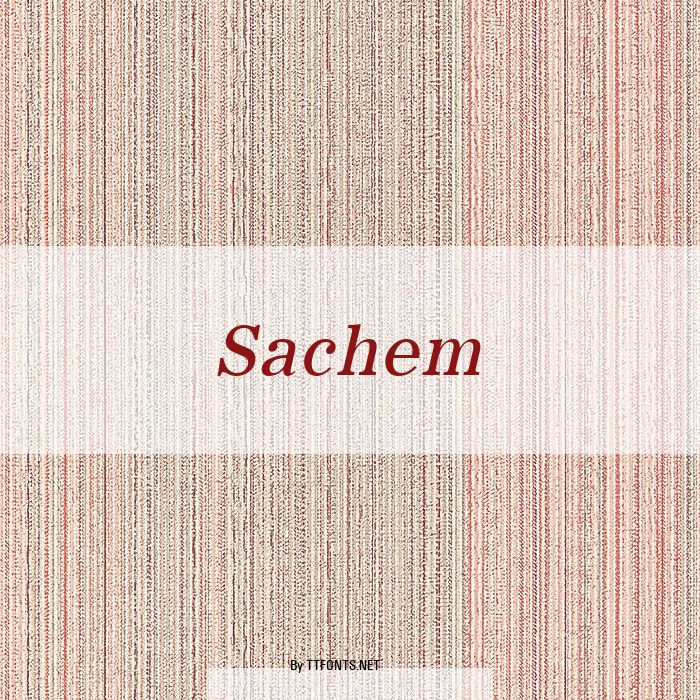 Sachem example