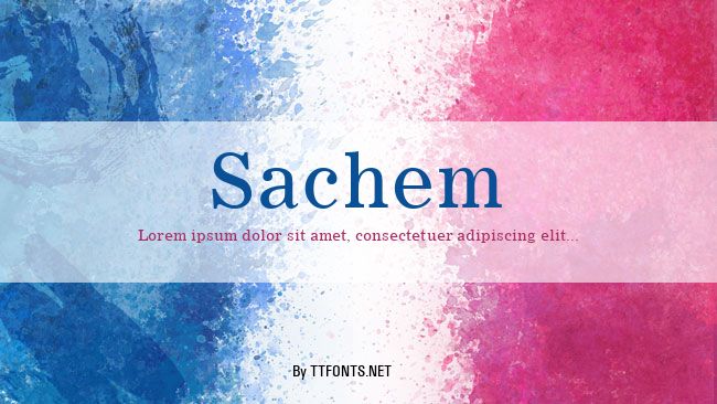 Sachem example