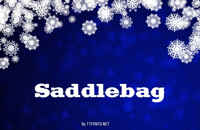 Saddlebag example