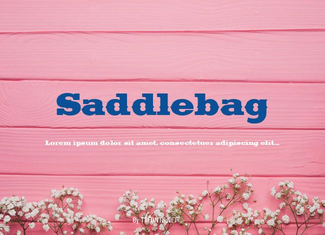 Saddlebag example
