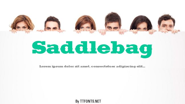 Saddlebag example