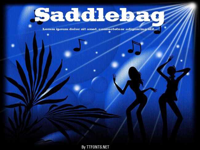 Saddlebag example