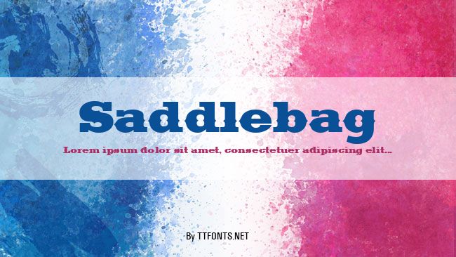 Saddlebag example
