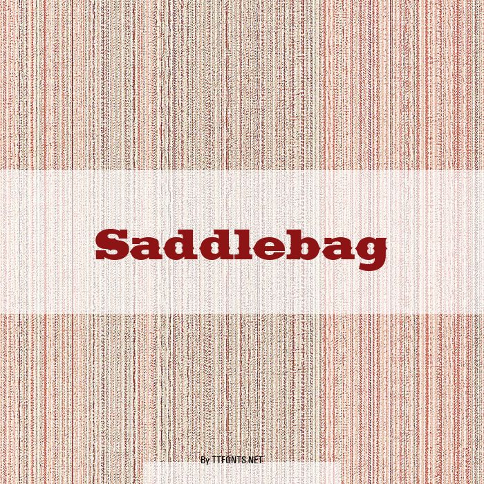 Saddlebag example
