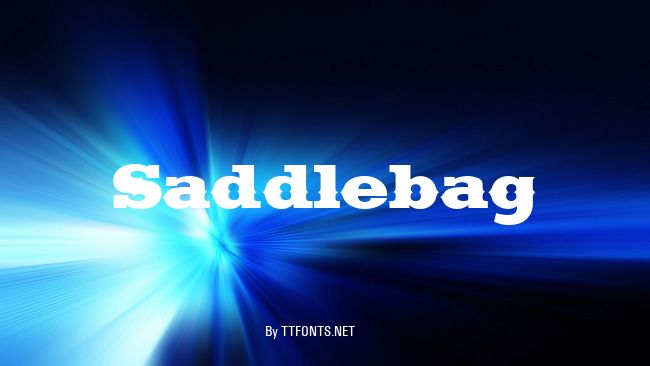 Saddlebag example
