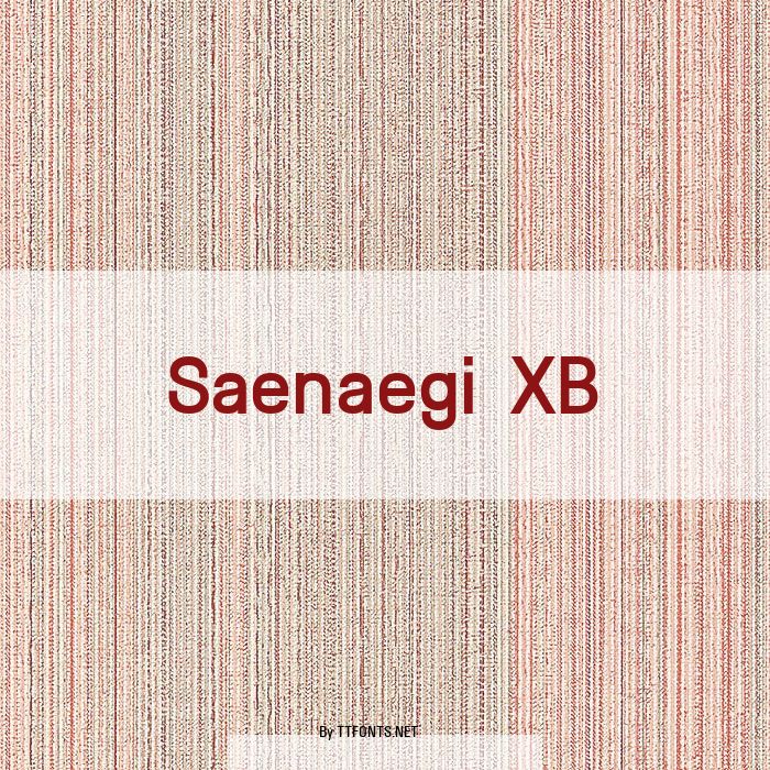 Saenaegi XB example