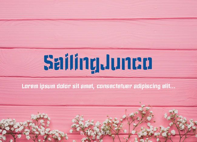 SailingJunco example