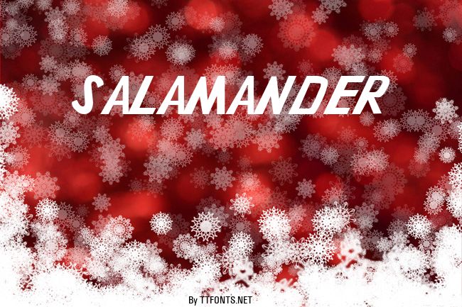 Salamander example