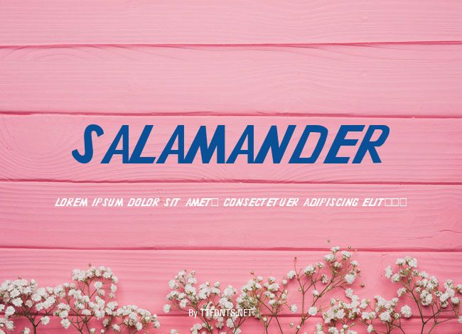 Salamander example