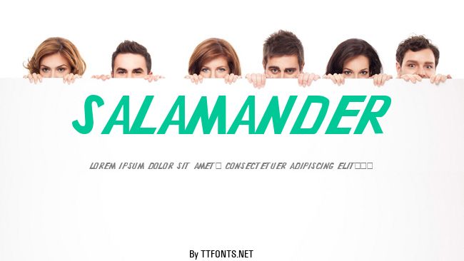 Salamander example