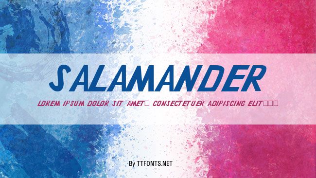 Salamander example
