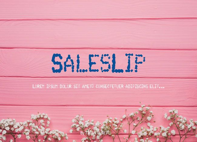 SalesLip example