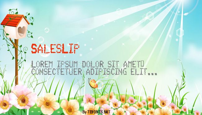 SalesLip example