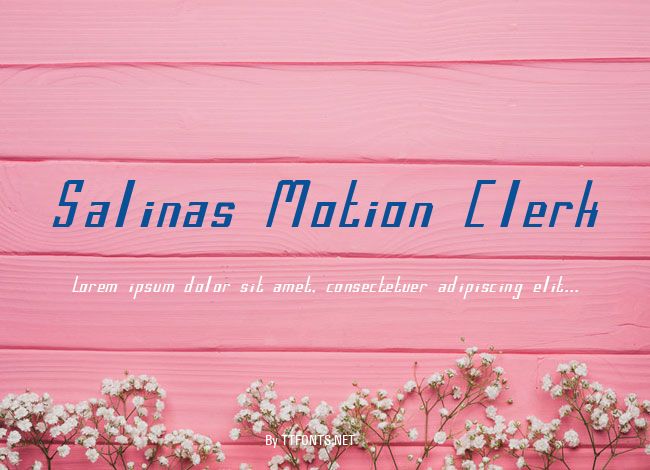 Salinas Motion Clerk example