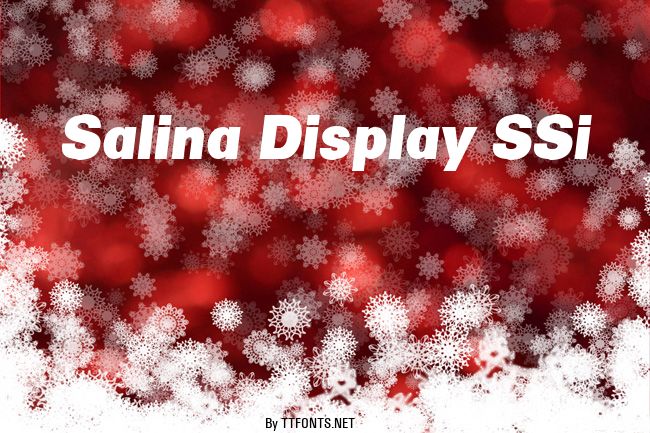 Salina Display SSi example