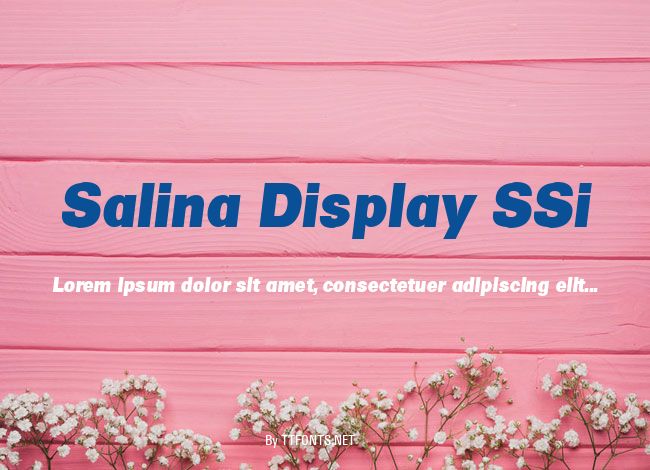 Salina Display SSi example