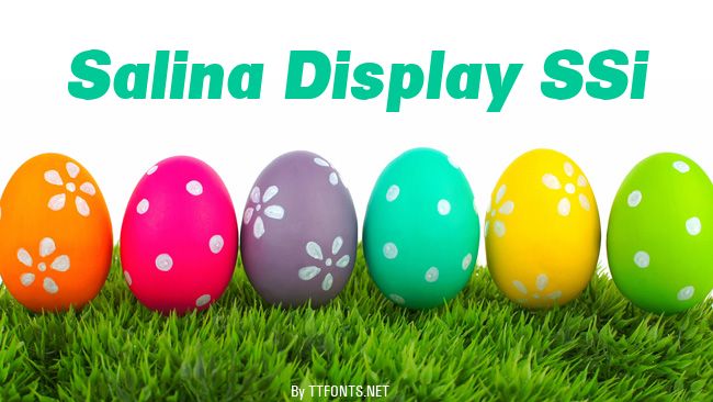 Salina Display SSi example