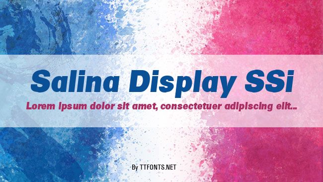 Salina Display SSi example