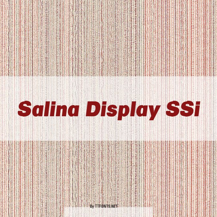 Salina Display SSi example