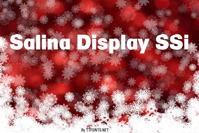 Salina Display SSi example