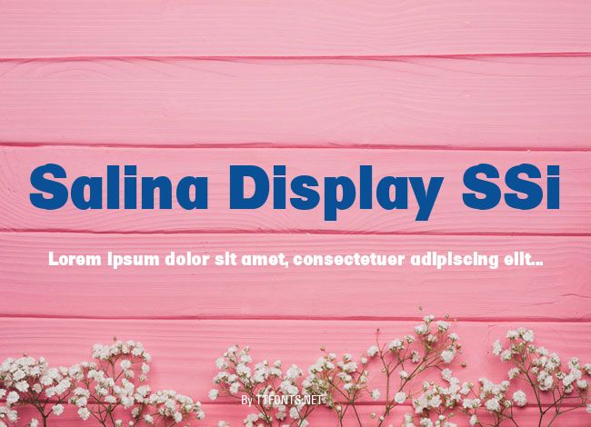 Salina Display SSi example