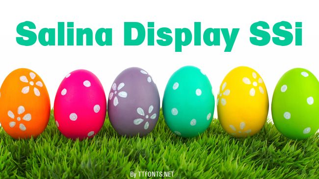 Salina Display SSi example