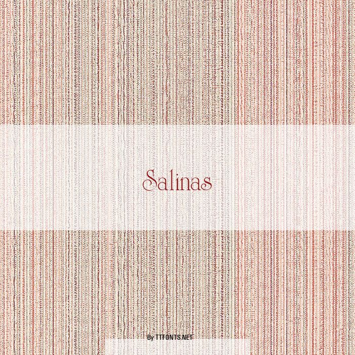 Salinas example