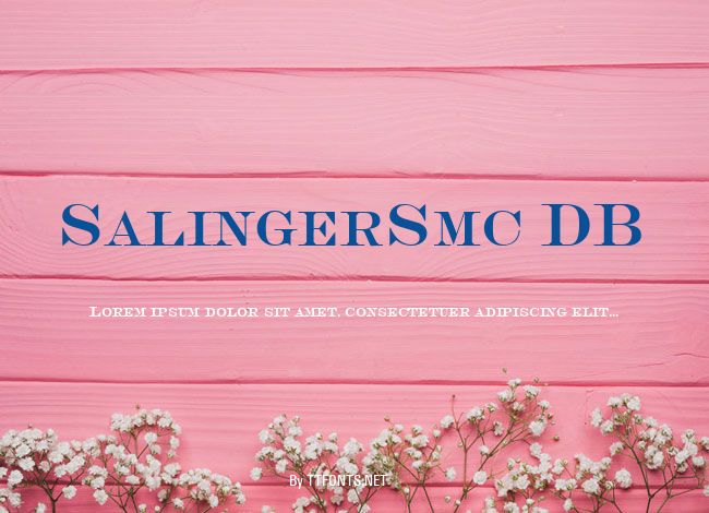 SalingerSmc DB example