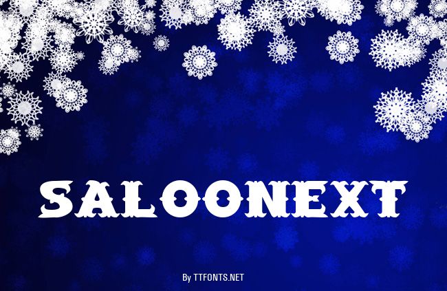 SaloonExt example
