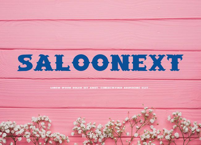 SaloonExt example