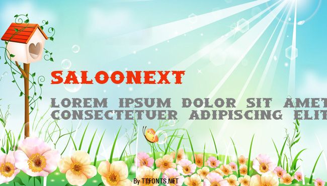 SaloonExt example