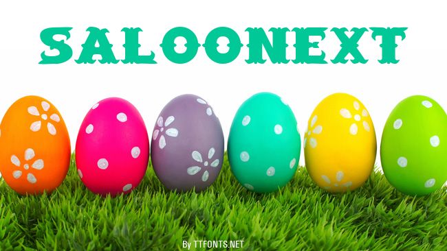SaloonExt example