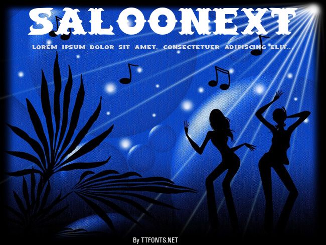 SaloonExt example