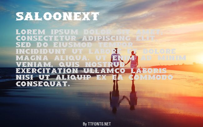 SaloonExt example