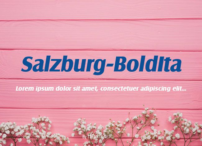 Salzburg-BoldIta example