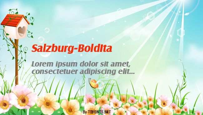 Salzburg-BoldIta example