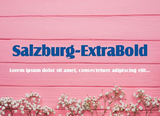 Salzburg-ExtraBold example