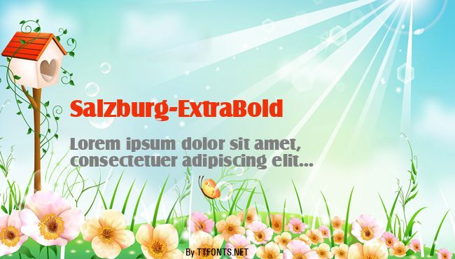 Salzburg-ExtraBold example