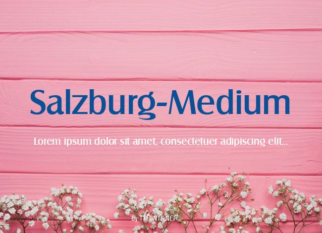 Salzburg-Medium example