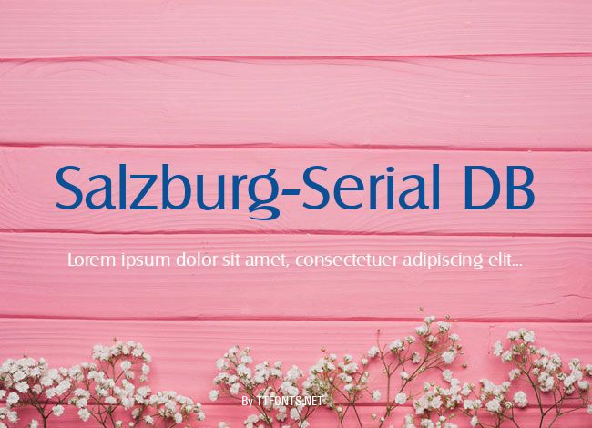 Salzburg-Serial DB example