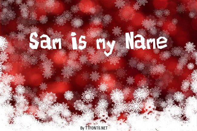 Sam is my Name example