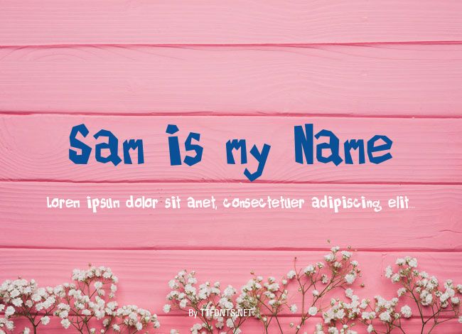 Sam is my Name example