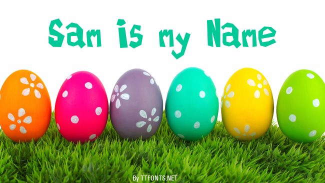 Sam is my Name example