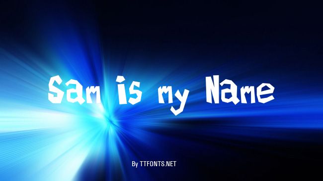 Sam is my Name example