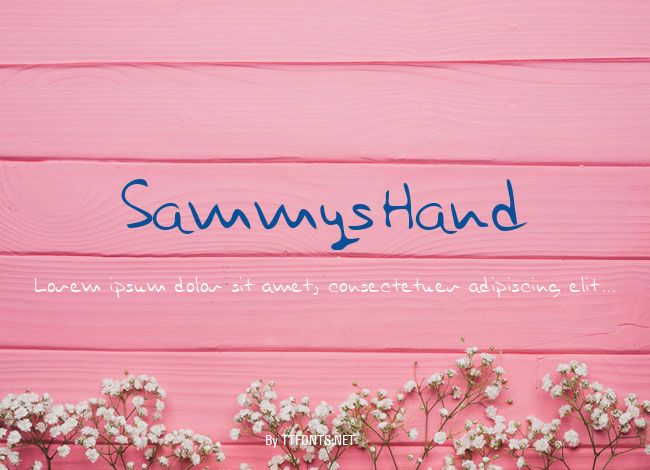 SammysHand example