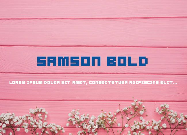 Samson Bold example