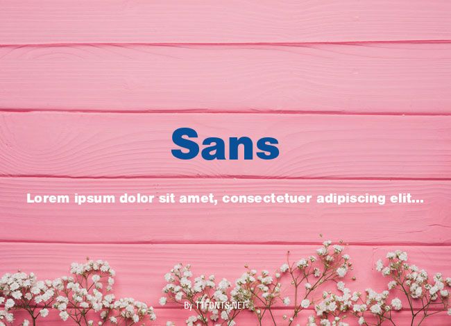 Sans example