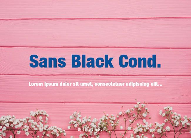 Sans Black Cond. example